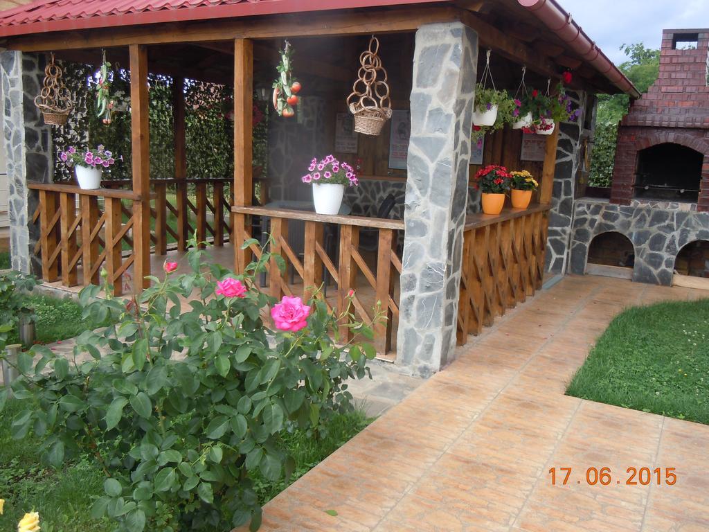 Pensiunea Marina Câmpina Exterior photo