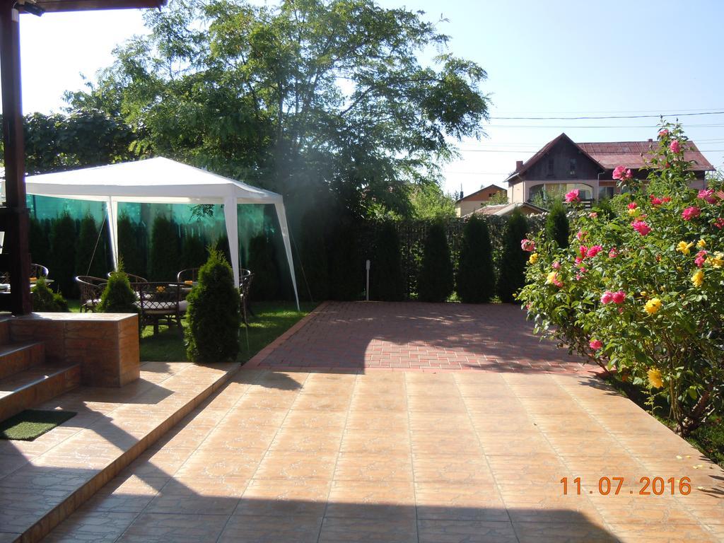Pensiunea Marina Câmpina Exterior photo