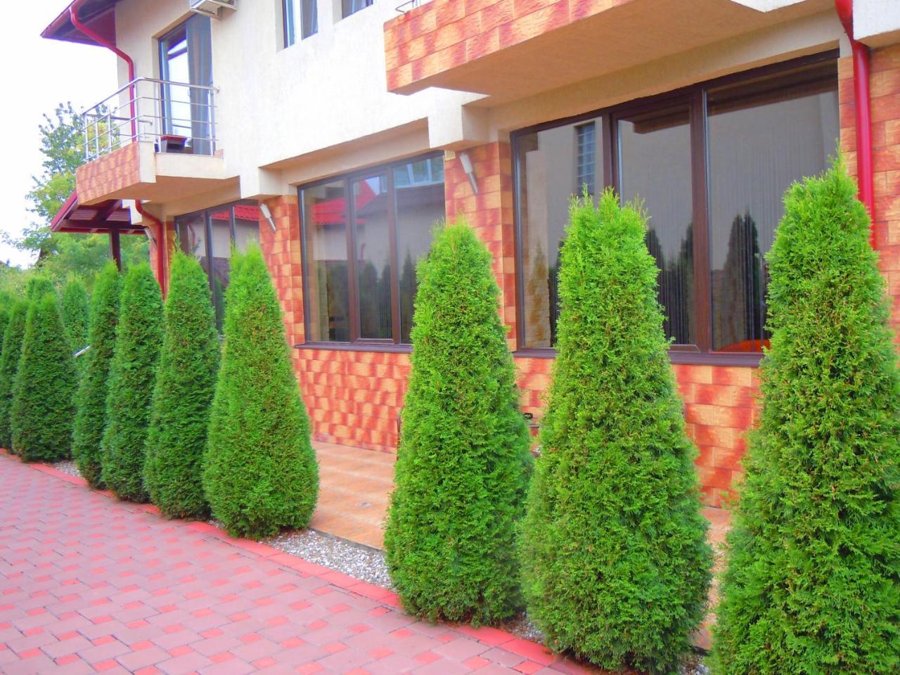 Pensiunea Marina Câmpina Exterior photo