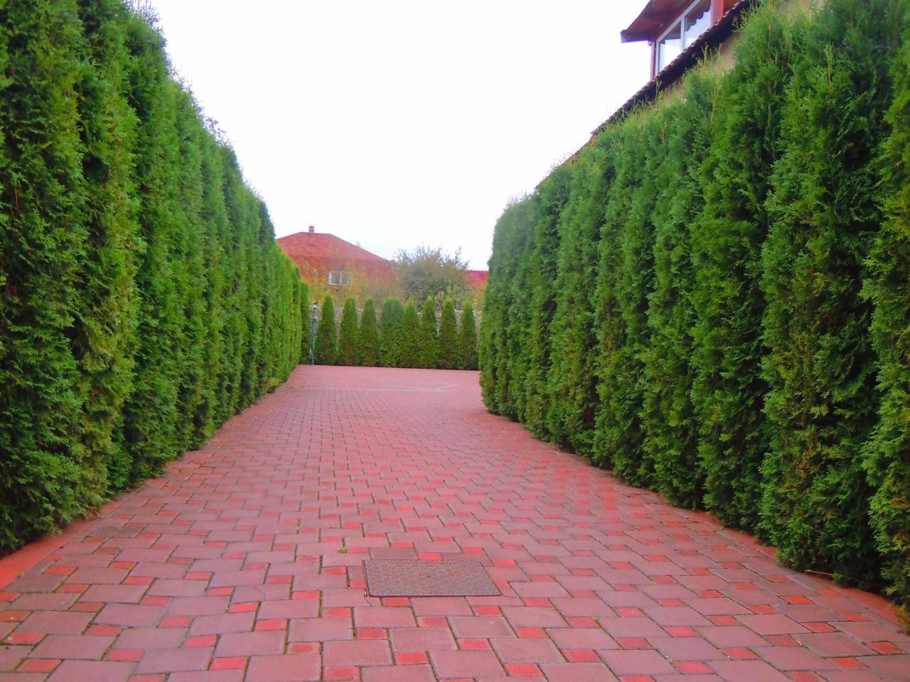 Pensiunea Marina Câmpina Exterior photo